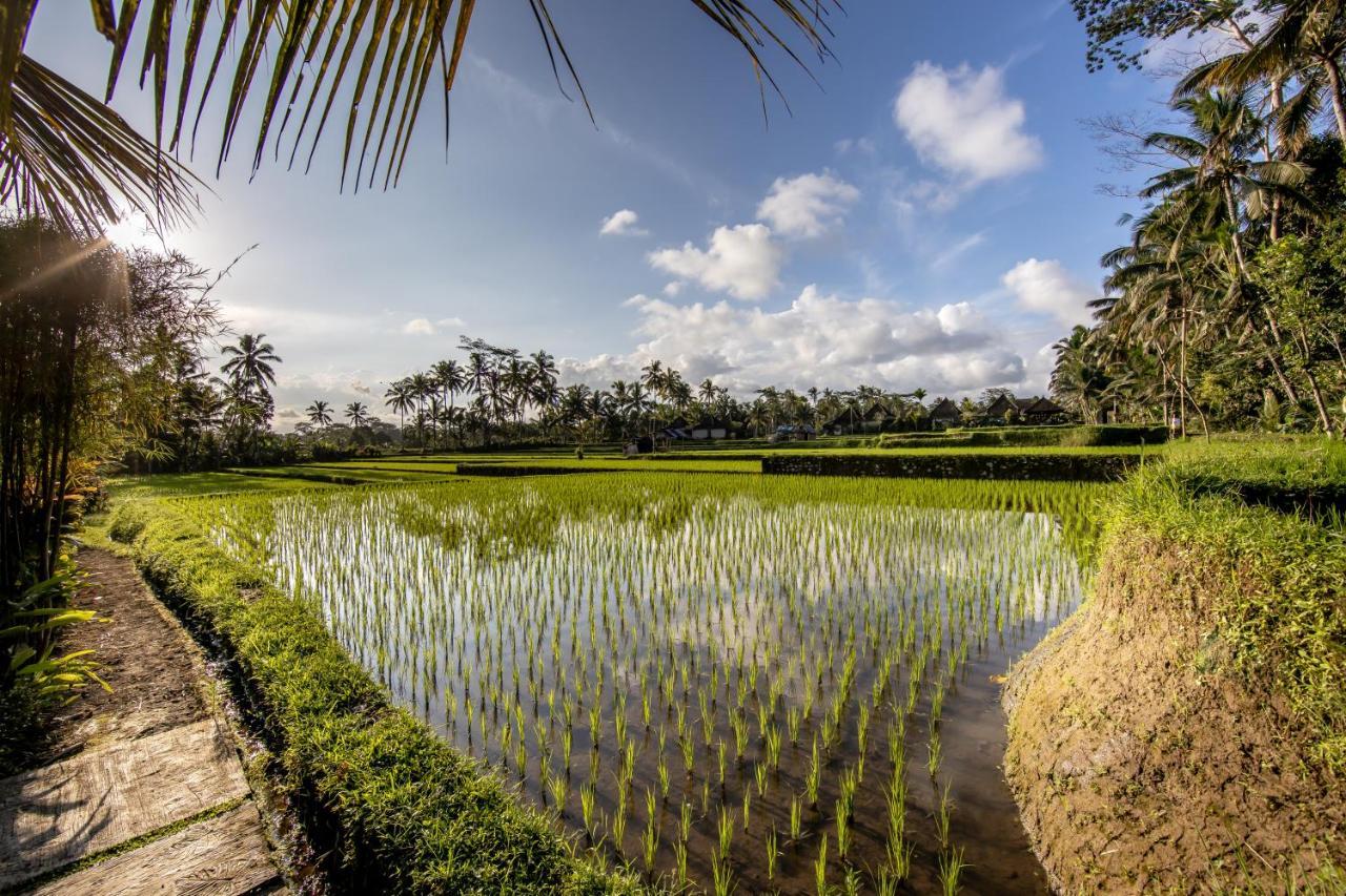 Villa Natha Ubud  Bagian luar foto
